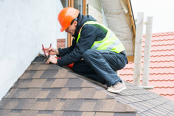 Best Roof Gutter Cleaning  in Fenton, MO